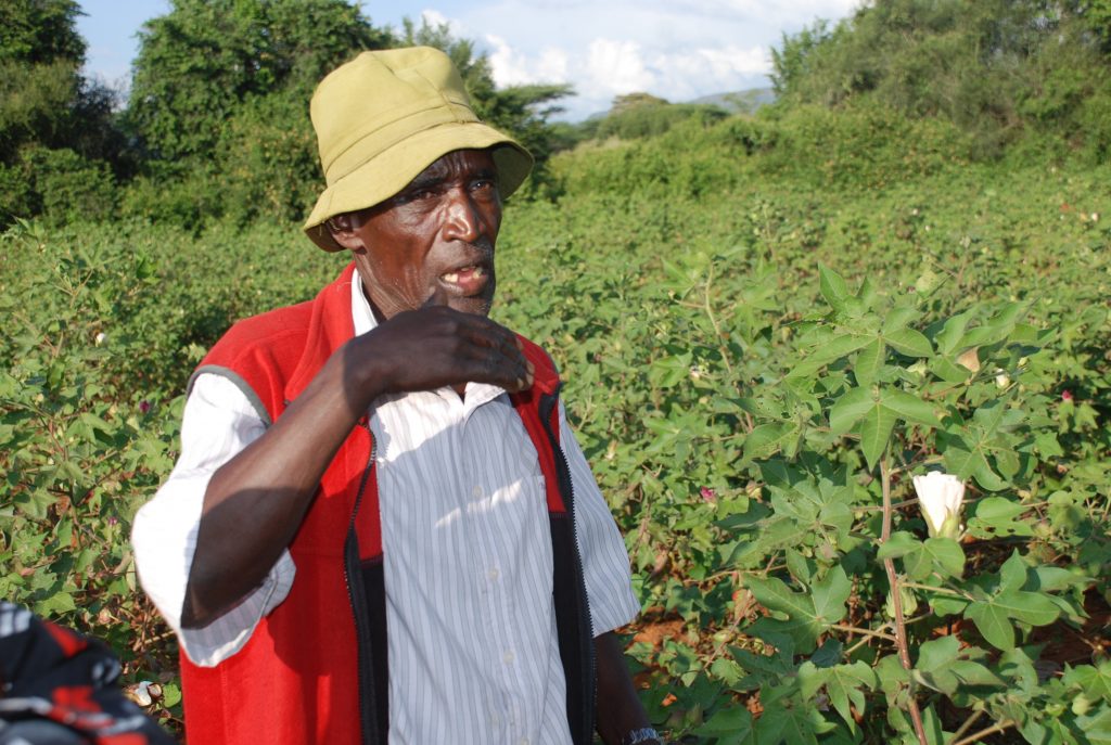 Prospects looking up for cotton farmers KNA