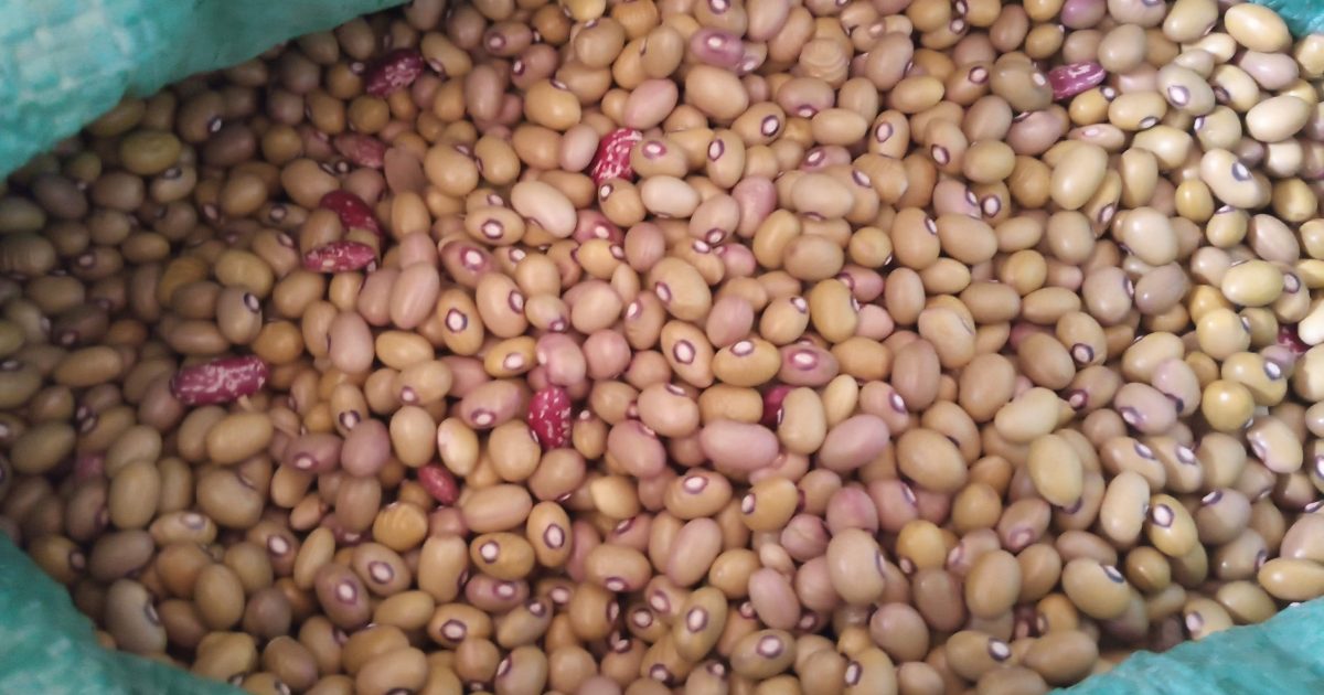 EAC Grain Traders Meet – Kenya News Agency