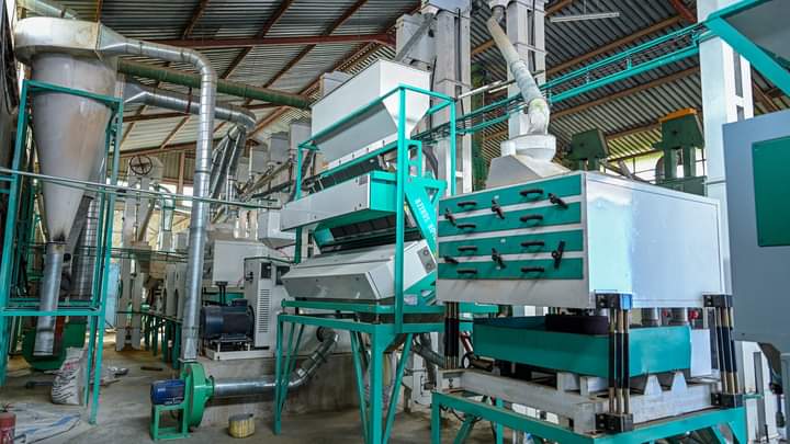 County collaborates with NIA to boost rice production in Nyando – Kenya ...