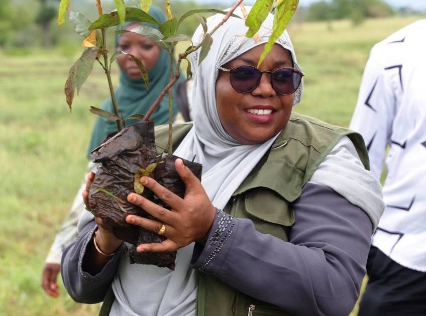 Kwale launches tree planting drive to combat climate change